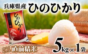 【７営業日以内発送】ヒノヒカリ 5kg 白米 令和７年産 【城口商店】米 お米 5kg 米5kg 兵庫県産 ひのひかり 令和7年産 R7年産 2025年産 精米