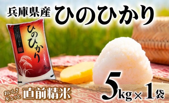 【７営業日以内発送】ヒノヒカリ 5kg 白米 令和７年産 【城口商店】米 お米 5kg 米5kg 兵庫県産 ひのひかり 令和7年産 R7年産 2025年産 精米