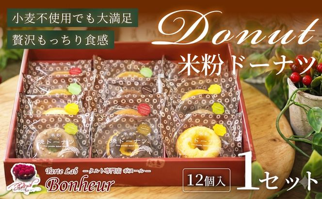 米粉ドーナツセット（12個入り）　K351-008