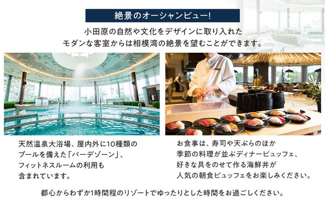 【チケット有効期限延長！】ヒルトン・スーペリア・ツインルーム宿泊プラン　1泊夕朝食付き＜1組2名様＞★オーシャンビュー！天然温泉大浴場、プール施設利用含む【オーシャンビュー フィットネス 天然温泉大浴場 バーデゾーン ヒルトン 神奈川県 小田原市 】 142069_BG004