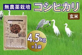 無農薬栽培 コシヒカリ《玄米》4.5kg｜おいしい お米 コメ こめ ご飯 ごはん 白米 玄米 お取り寄せ 直送 贈り物 贈答品 ふるさと納税 埼玉 杉戸 [0563]