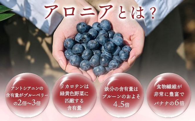 北海道 伊達大滝産 アロニア ベリー 赤い はちみつ 140g×3 国産 ハチミツ 蜂蜜 ハニー 赤はちみつ スーパーフード 北のハイグレード食品 ギフト 花カフェアイバレー 送料無料