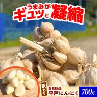 訳あり 植田ファームの自然乾燥平戸にんにく700g 〈2026年6月10日～2026年10月31日〉700グラム ニンニク ガーリック お酒 料理 醤油漬け ガーリックオイル ペペロンチーノ パスタ スパゲッティ 高知県 土佐市【株式会社植田ファーム】[BQAT005]
