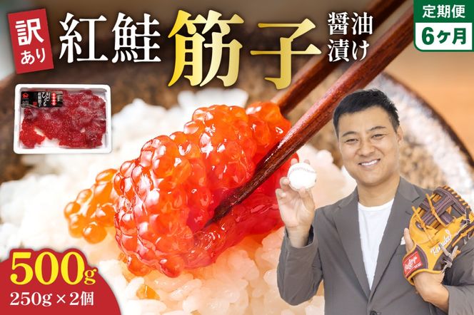 ykCGszy6ցz󂠂 g؎qݖ 500g (250g×2jЂƂJbg S6@R002-031