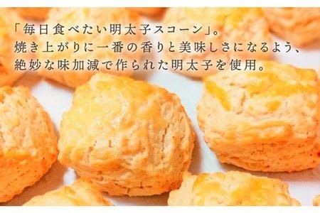 【 贈答用 】定番 スコーン + 明太 チーズ スコーン 計12個 セット《糸島》【キナフク】焼き菓子 焼菓子 洋菓子 スイーツ パン [AFA012]