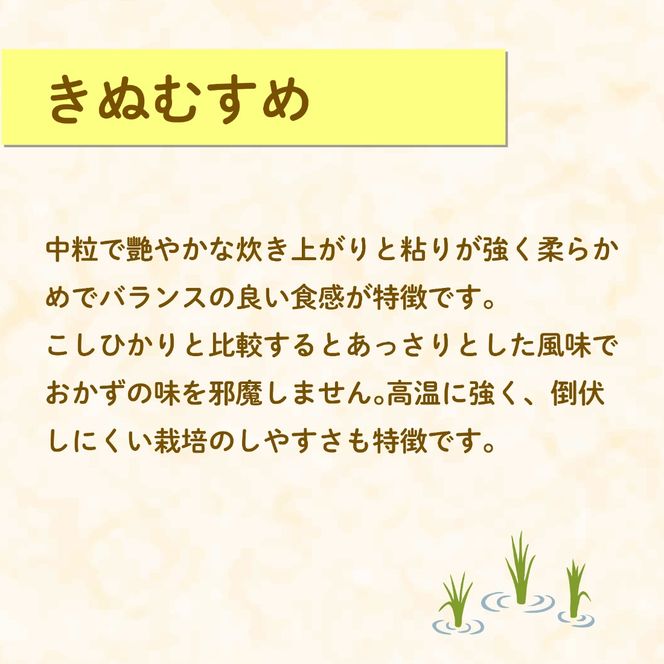 米 きぬむすめ 2kg 農家直送 特別栽培米 精米 お米 中生種 新生活 贈り物 人気米 おにぎり ご飯 白米 コメ 贈答 静岡県 藤枝市