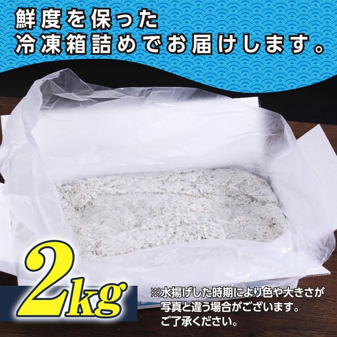 MMK006　訳あり釜揚げシラス2kg 高知県産 釜揚げしらす 簡易梱包 わけあり 不揃い シラス 国産 釜揚げ 新鮮 しらす丼 海鮮丼 お茶漬け 冷凍配送 塩分控えめ お取り寄せ