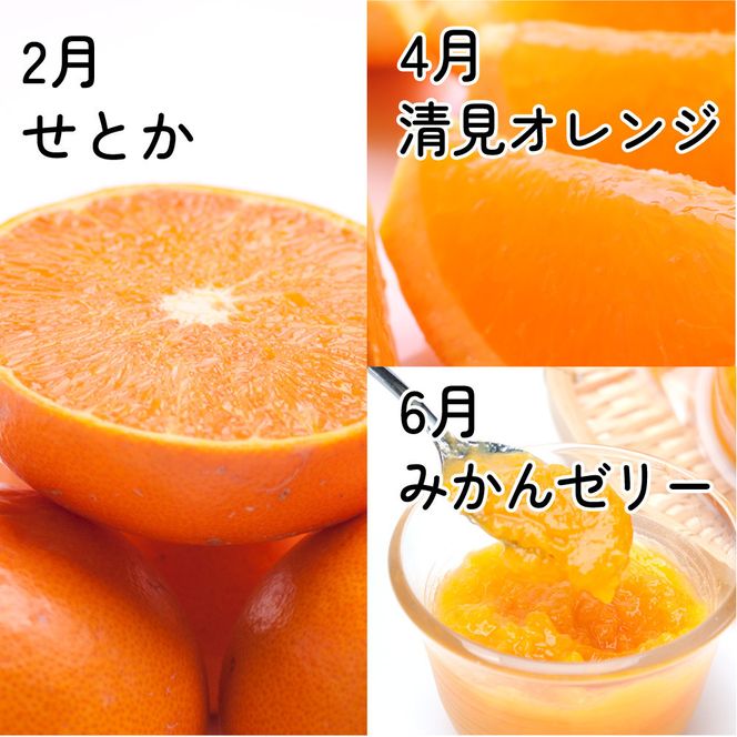 厳選 柑橘定期便S（偶数月）全6回［IKE286］ 303446_BB90195