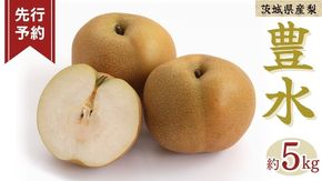 《 先行予約 》豊水 10～20玉 ( 約5kg ) 【 2026年8月下旬発送開始】 フルーツ 果物 なし ナシ 旬 新鮮 旬 期間限定 甘い 国産 [DV002us]