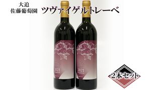 大迫佐藤葡萄園 ツヴァイゲルトレーベ2本 【828】