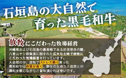 石垣島産 黒毛和牛 生ハンバーグ 120g x 10個 【沖縄 石垣 石垣島産 黒毛和牛 和牛 ハンバーグ】 UN-2