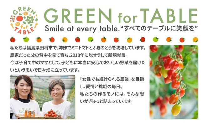 【 先行予約 】 美甘トマト フルーツトマト 1kg 2026年7月発送 トマト とまと 新鮮 採れたて フレッシュ 野菜 農家直送 1キロ 人気 おすすめ ギフト 贈答 プレゼント 福島県 田村市 田村 GREEN for TABLE
