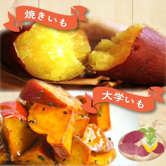 さつまいも苗【紅はるか50本】【5月下旬〜6月上旬発送予定
