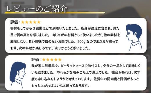 500g【佐賀牛】切り落とし B-1016