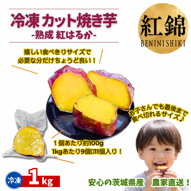 冷凍カット焼き芋（紅はるか）約1kg(100g×10袋)｜冷凍焼き芋 個包装 熟成紅はるか 約1kg 100g×10袋 カット焼き芋 茨城県産 行方市 紅錦 サツマイモ 冷凍焼き芋 国産 おやつ スイーツ 和スイーツ 冷やし焼き芋 無添加 小さいサイズ（IE-6）