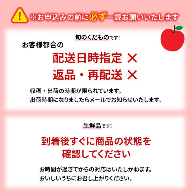 【2026年発送】志賀高原の麓で育った ぐんま名月 秀18玉 約5kg りんご 5kg フルーツ 果物 デザート 長野