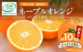 【2027年先行予約】和歌山県産 ネーブルオレンジ 【訳あり 家庭用】10kg サイズ混合 【まごころ手選別】_ZE6445
