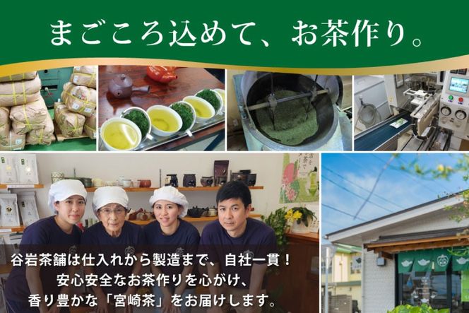お茶 緑茶 煎茶 晟 70g×3本 [谷岩茶舗 宮崎県 日向市 452061612] セット 緑茶 やぶきた プラチナ賞 日本茶