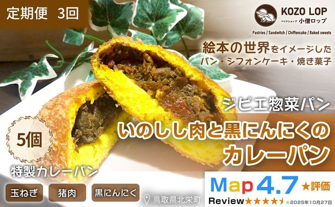 1185.【定期便3ヶ月】鳥取県産 ジビエ惣菜パン いのしし肉と黒にんにくのカレーパン 5個×3回 313726_BD066
