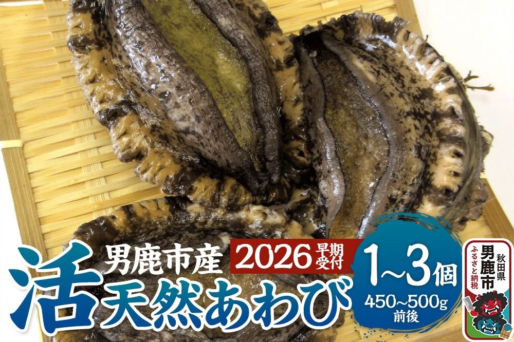 [2026年7月中旬〜8月下旬発送]男鹿産天然鮑 2個 (約250〜280g) あわび アワビ 秋田 男鹿産|23_wtr-080201