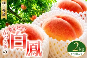 【予約受付】桃の王様 白鳳 特秀品 2kg（6個~8個） / 桃 もも 白鳳 フルーツ 果物 くだもの※2027年6月末頃～7月末頃に順次発送予定（お届け日指定不可） ※離島への配送不可 【kgr501-haku-2】