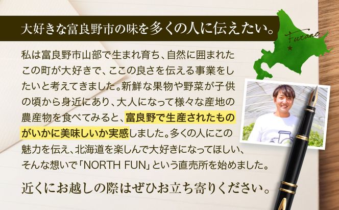 【ふるなびWEEK対象】[2026年6月下旬～発送]富良野メロン『NORTH PREMIUM』1玉 約2kg以上 ( NORTH FUN 北海道 ふらの メロン フルーツ 果物 新鮮 甘い 贈り物 ギフト 道産 ジューシー おやつ ふらの ブランド 夏 )