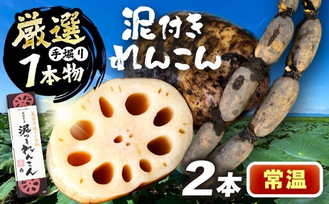 ymszI Dt񂱂 2{ @1{ i퉷j  R s / JAC񂱂Z^[ yzsnFkCEEz[AEDK005]