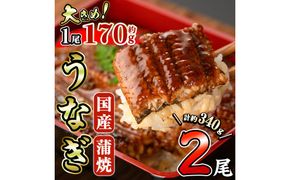 国産 うなぎ 蒲焼 (約170g×2尾) 鰻 タレ かば焼き うな重 うな丼 ひつまぶし 小分け 真空包装 真空パック 【丸正水産】【AW-17】