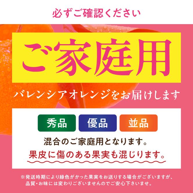 【2027年先行予約】バレンシアオレンジ [約7kg] 湯浅町田村産 (無選別・果実サイズ混合・ご家庭用) 春みかん / 紀伊国屋文左衛門本舗_V7079