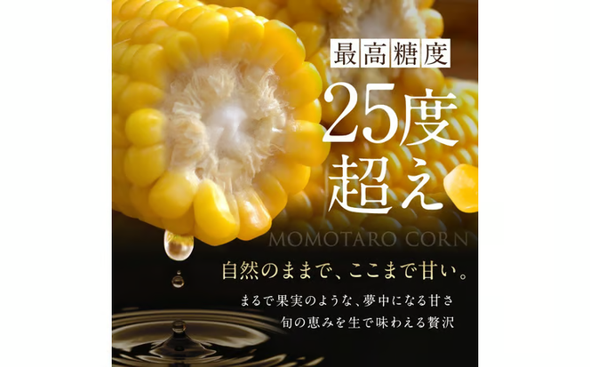 ［2026年先行予約］牛窓産とうもろこし まるでフルーツ！最高糖度25度超え 生で甘い、茹でて美味い！ 黄色 とうもろこし 「桃太郎コーン」約4kg（8～12本入り） 野菜[№5735-0982]