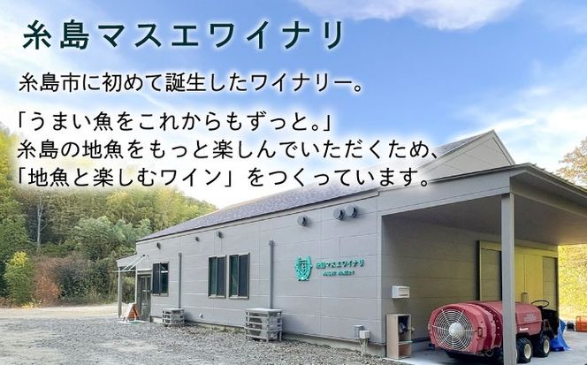 【糸島マスエワイナリ】STILL 白 Koshu Muscut 2本 糸島市 / いとしのいとしま[AEP002] 白ワイン 国産 ワイン 辛口  白 マスカット 甲州 魚介 糸島 ワイナリー