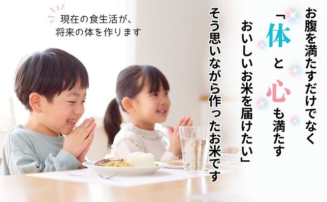 【先行予約】《令和8年産 新米》＼2026年10月より6回／こしひかり 5kg 玄米  特別栽培米 『奥信濃の棚田米 実の里』定期便 5kg×6回 （Ck-011）
