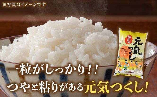 【令和5年産】福岡県産ブランド米「元気つくし」白米 5kg《築上町》【株式会社ゼロプラス】[ABDD001]