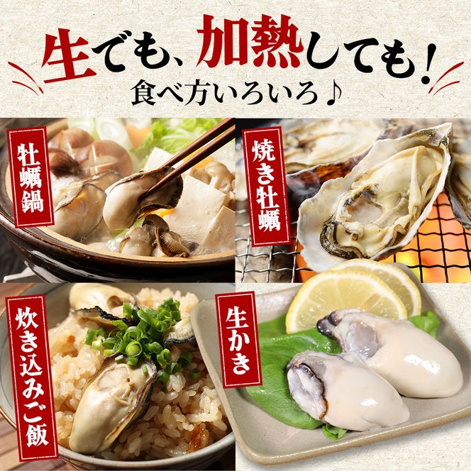 牡蠣 厚岸のブランド牡蠣 生食用 カキえもん Mサイズ 6個  [ 魚貝類 海鮮 海のミルク 国産 生食用殻付き牡蠣 まろやか クリーミー 食べやすい品種 海の香り 牡蠣の酒蒸し 焼き牡蠣  ]