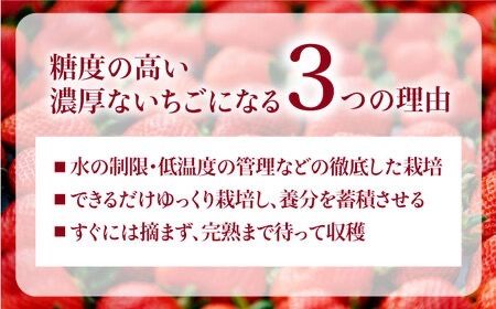 【先行受付】完熟冷凍あまおう 1kg【2026年3月中旬より順次発送】糸島市 / slowberry strawberry [APJ006] 冷凍 あまおう フローズン 完熟 いちご 苺 フルーツ 果物