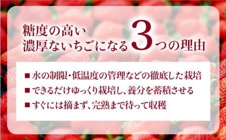 【予約：2025年3月より順次発送】完熟冷凍あまおう 1kg 糸島市 / slowberry strawberry [APJ006] あまおう いちご 果物