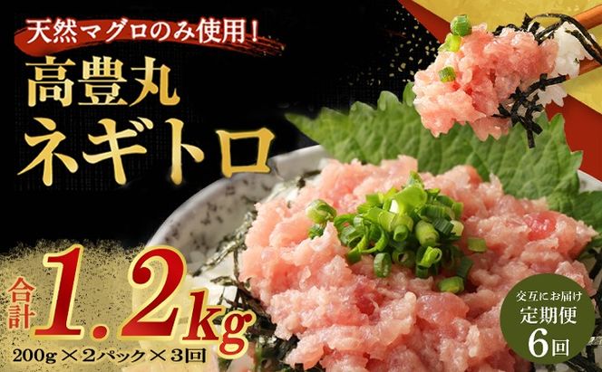 【交互定期便 / ６ヶ月連続】 土佐流藁焼きかつおのたたき2節と高豊丸ネギトロ400ｇ 魚介類 海産物 カツオ 鰹 わら焼き 高知 コロナ 緊急支援品 海鮮 冷凍 家庭用 訳あり 不揃い 規格外 連続 ６回 小分け 個包装 まぐろ マグロ 鮪 交互 藁 藁焼き かつお 室戸のたたき　tk055