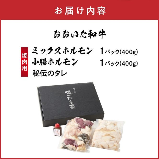 【秘伝のタレ付】おおいた和牛 ミックス・小腸ホルモン 各400g_2679R 焼肉 バーベキュー BBQ ミシュラン 高級店