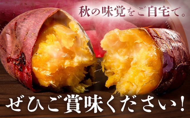 さつまいも 熊本県産 紅はるか 選べる 3.5kg 5kg 日本フルーツ株式会社《11月下旬-6月上旬頃出荷》熊本県 大津町 さつまいも 薩摩芋 からいも 紅はるか デザート 料理 おやつ 蜜芋 野菜 芋 いも ---oz_nfbh_cf116_25_7000_3kg---
