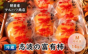 柿 冷蔵 志波の富有柿 Mサイズ×14個入 マルハツ商店 配送不可：離島 果物類 かき 