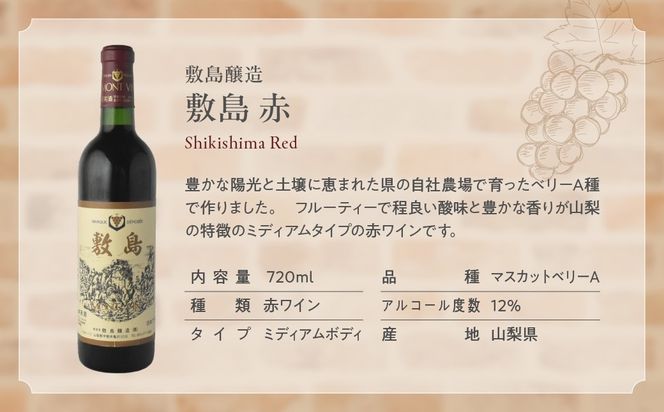 甲斐市産　赤ワイン飲み比べ　3本セット　Presents by Katerial　AD-34