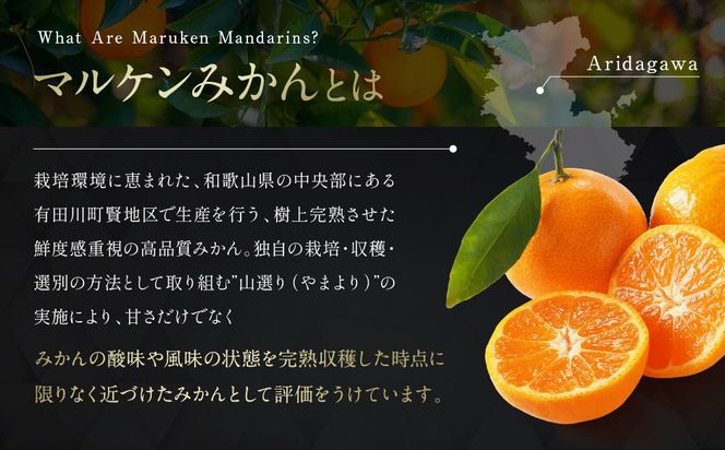 【賢宝】マルケンみかん果汁100％ジュース （化粧箱／7本入り×4ケース）もぎたてみかん味のストレートジュース E024