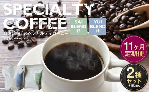 【定期便11ヶ月】自家焙煎スペシャルティコーヒー豆 250g×2種 | コーヒー豆 自家焙煎スペシャルティコーヒー ギフト 詰め合わせ
