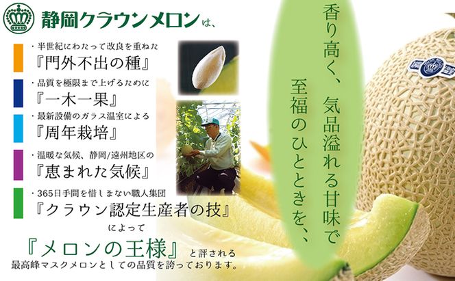 数量限定！『クラウンメロン1玉とメロンカレー2箱』 メロン 人気 厳選 ギフト 贈り物 レトルト 即席 デザート グルメ フルーツ 果物 袋井市 果物類 メロン青肉 惣菜 