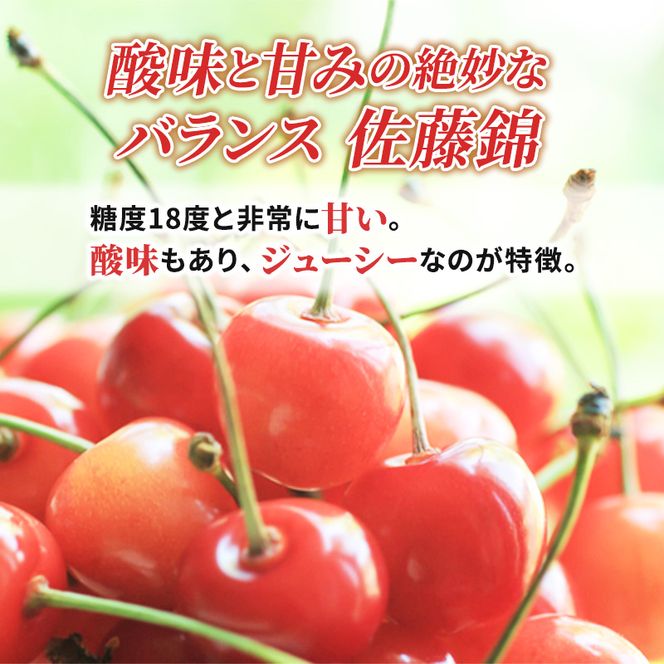 先行受付 北海道 仁木町産 さくらんぼ 佐藤錦 360g (180g×2パック)Lサイズ以上  旬 桜桃 産地直送 サクランボ チェリー フルーツ 果物 果物類 仁木町 仁木 [松山商店]