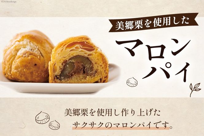 菓子 栗マロンパイ 9個 [栗菓子工房みず穂屋 宮崎県 美郷町 31at0021] 和栗 スイーツ お取り寄せ 栗づくし 冷凍 手作り 宮崎県 産 美郷栗 国産 贈答品 ギフト