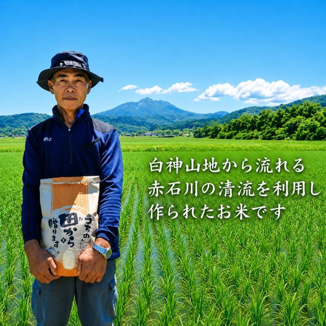 米 令和8年産 はれわたり 無洗米 10kg (5kg×2袋) 白米 こめ お米 おこめ コメ ご飯 ごはん 令和8年 山下農園 青森 青森県 鯵ヶ沢町