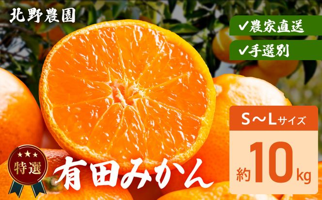 DZ6231_【2026年先行予約】特選 有田みかん 和歌山 S～Lサイズ 大きさお任せ 約10kg