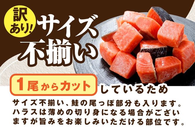 骨取り済カットチリ産銀鮭 1kg