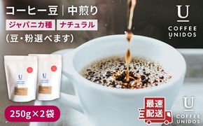 【年内発送】中煎り コーヒー 豆 250g × 2袋 （ 豆 ・ 粉 選べます ） ニカラグア産 エルポルベニール農園 ジャバニカ種 ナチュラル 《糸島》 【COFFEE UNIDOS】 [AQF005] 珈琲 カフェ コーヒー粉
